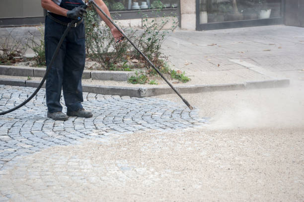 Animal Enclosure Cleaning in Menominee, MI